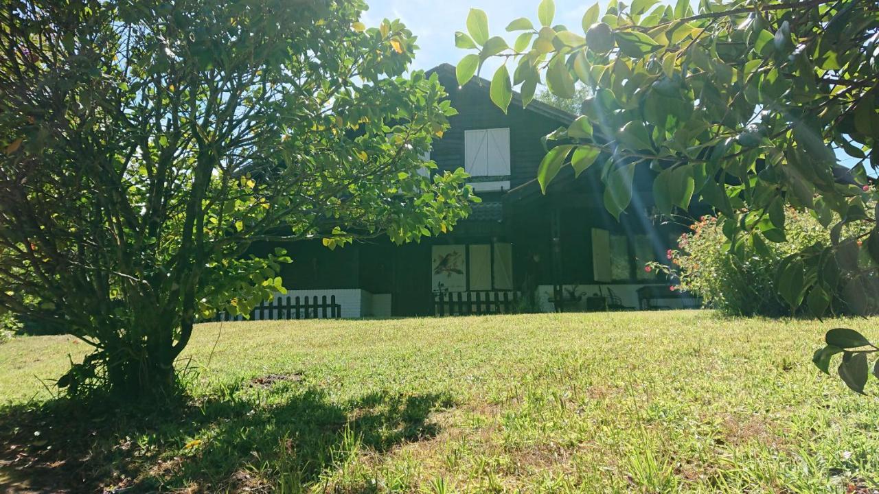 Slow House Y La Cabana De Miss Slower Nigrán Exteriör bild